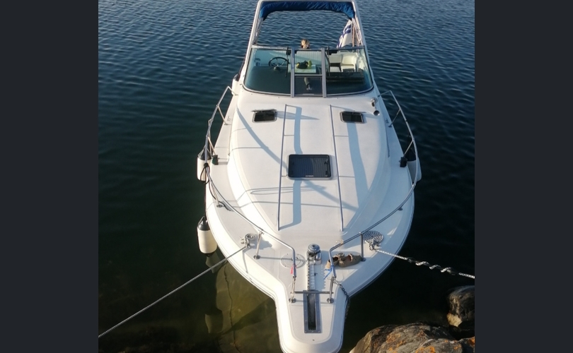 Sea Ray Sundancer 290-kuva-4